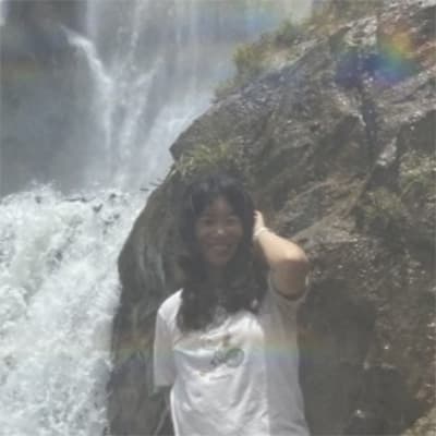 Dorothy Zheng